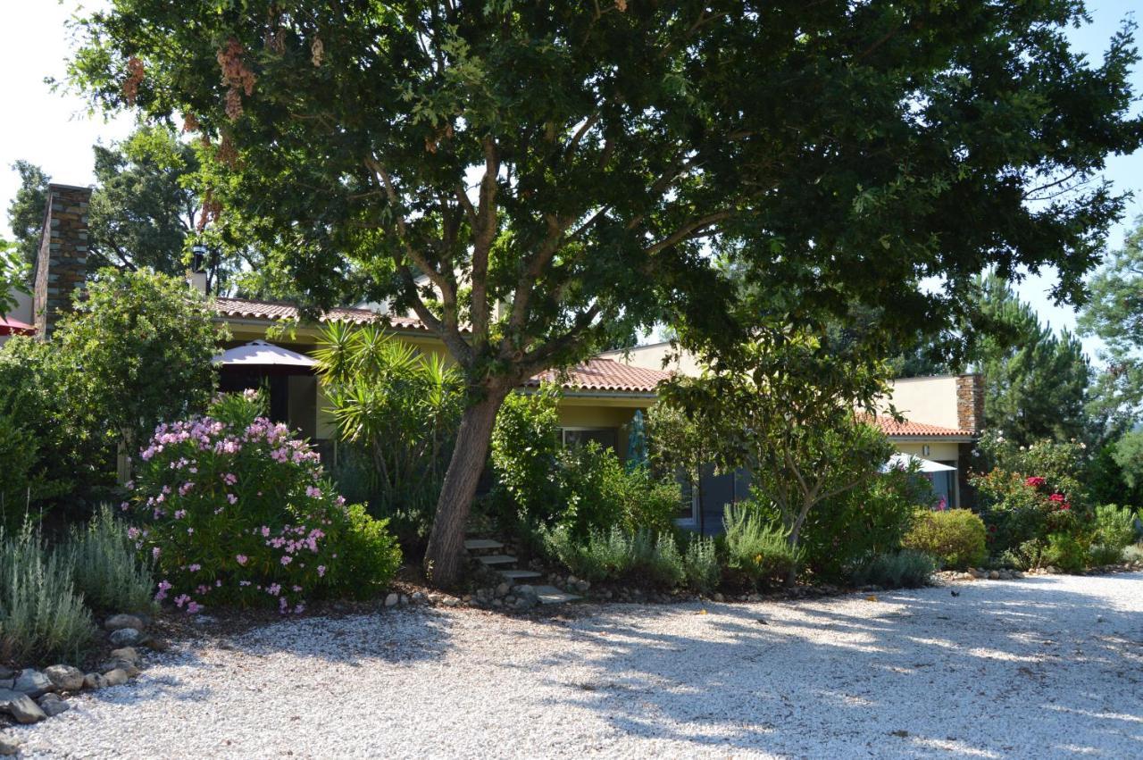 Vivenda A Nossa Coroa Villa Coja Exterior photo